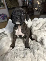 processed/716a5d69-b26a-4b62-8231-908aaed0d91f/listing/c43605f4-412f-4d3d-bc23-aef0b7bb9669/8cd38b43-5504-4350-b06e-47a3eb41c31c