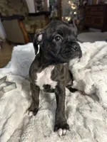 processed/716a5d69-b26a-4b62-8231-908aaed0d91f/listing/c43605f4-412f-4d3d-bc23-aef0b7bb9669/f57c4c54-47e1-455c-bb05-46dfb1ca6955