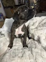 processed/716a5d69-b26a-4b62-8231-908aaed0d91f/listing/c43605f4-412f-4d3d-bc23-aef0b7bb9669/f70a8d57-cee5-4cde-9df9-9356be2c8e7a