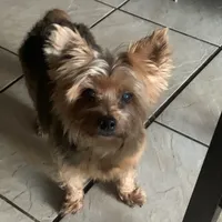 processed/716c1088-d0a0-40d4-b02a-57768e94a17a/facility/0093fb73-6e2d-4c91-b520-c4e646cd873d