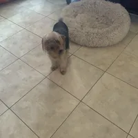 processed/716c1088-d0a0-40d4-b02a-57768e94a17a/facility/7156272f-4103-4450-b09c-fb6696ad96b9