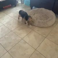 processed/716c1088-d0a0-40d4-b02a-57768e94a17a/facility/8282a63c-a85a-41df-8884-4ab8a72ea016