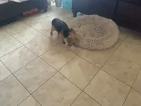 processed/716c1088-d0a0-40d4-b02a-57768e94a17a/facility/8282a63c-a85a-41df-8884-4ab8a72ea016