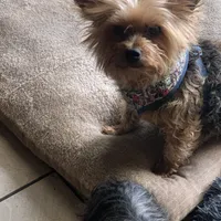 processed/716c1088-d0a0-40d4-b02a-57768e94a17a/facility/8dfcdc58-8ff1-49b7-82bf-8cafabd7039e