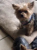 processed/716c1088-d0a0-40d4-b02a-57768e94a17a/facility/8dfcdc58-8ff1-49b7-82bf-8cafabd7039e