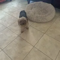 processed/716c1088-d0a0-40d4-b02a-57768e94a17a/facility/9750be59-dd4e-4629-ba94-e12bec805d21