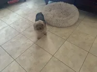 processed/716c1088-d0a0-40d4-b02a-57768e94a17a/facility/9750be59-dd4e-4629-ba94-e12bec805d21