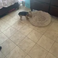 processed/716c1088-d0a0-40d4-b02a-57768e94a17a/facility/db63e67f-cab6-4a14-8bd6-1e9bb50775f2