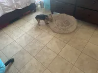 processed/716c1088-d0a0-40d4-b02a-57768e94a17a/facility/db63e67f-cab6-4a14-8bd6-1e9bb50775f2