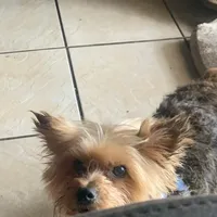 processed/716c1088-d0a0-40d4-b02a-57768e94a17a/facility/ec4486de-5eea-4713-bcca-76a640ae8848