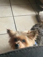 processed/716c1088-d0a0-40d4-b02a-57768e94a17a/facility/ec4486de-5eea-4713-bcca-76a640ae8848