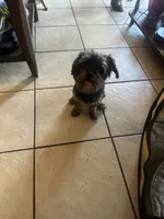 processed/716c1088-d0a0-40d4-b02a-57768e94a17a/listing/4b0511c4-ceaa-40f4-b591-cb7894e2a646/4a1d1f8e-4edf-4f07-b501-e61953f02d34