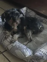 processed/716c1088-d0a0-40d4-b02a-57768e94a17a/listing/4b0511c4-ceaa-40f4-b591-cb7894e2a646/962cfb2e-ebdd-4c7f-b6f0-e4d1b0c3f9ec