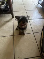 processed/716c1088-d0a0-40d4-b02a-57768e94a17a/listing/4b0511c4-ceaa-40f4-b591-cb7894e2a646/9a553cc5-389f-47c6-97cb-2e90375153fd