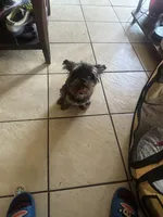 processed/716c1088-d0a0-40d4-b02a-57768e94a17a/listing/4b0511c4-ceaa-40f4-b591-cb7894e2a646/e09676ce-3423-488a-ae85-ba1a0a940e1f