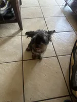 processed/716c1088-d0a0-40d4-b02a-57768e94a17a/listing/4b0511c4-ceaa-40f4-b591-cb7894e2a646/e3c196b9-e77f-452d-b0b6-e495db0c03e9