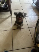 processed/716c1088-d0a0-40d4-b02a-57768e94a17a/listing/4b0511c4-ceaa-40f4-b591-cb7894e2a646/e8ededbe-d388-417d-962d-8b7add9761ec