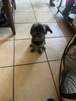 processed/716c1088-d0a0-40d4-b02a-57768e94a17a/listing/4b0511c4-ceaa-40f4-b591-cb7894e2a646/f3886fd8-e915-4bdb-803a-53cbed13ea51