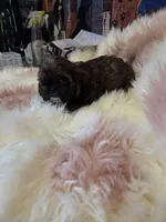 processed/716debcb-1658-4166-83e7-dc9d97a1ca74/listing/09a1a050-478f-4e63-a11c-cbe472ed375e/3022ebf9-274a-49f7-abec-b6bf592e33d0