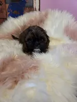 processed/716debcb-1658-4166-83e7-dc9d97a1ca74/listing/09a1a050-478f-4e63-a11c-cbe472ed375e/63a338ab-041b-4ecf-a0c0-fbc151bc3ea8