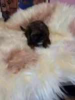 processed/716debcb-1658-4166-83e7-dc9d97a1ca74/listing/09a1a050-478f-4e63-a11c-cbe472ed375e/72805bab-4439-49af-b49a-a97537d820fc