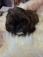 processed/716debcb-1658-4166-83e7-dc9d97a1ca74/listing/09a1a050-478f-4e63-a11c-cbe472ed375e/b369d89f-c684-475d-851f-221262333550