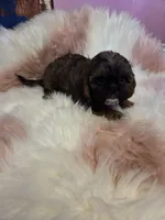 processed/716debcb-1658-4166-83e7-dc9d97a1ca74/listing/09a1a050-478f-4e63-a11c-cbe472ed375e/b3715d16-b84e-478e-a6da-6d93080ec0c2