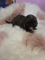 processed/716debcb-1658-4166-83e7-dc9d97a1ca74/listing/09a1a050-478f-4e63-a11c-cbe472ed375e/cf40e572-7783-42d0-85c9-63df5b131d30