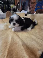 processed/716debcb-1658-4166-83e7-dc9d97a1ca74/listing/8af4355f-bc3b-4341-81a3-f2349de51d5e/1083ceff-03d7-46d8-b900-3bfc15545141