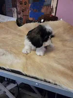 processed/716debcb-1658-4166-83e7-dc9d97a1ca74/listing/8af4355f-bc3b-4341-81a3-f2349de51d5e/57afa6da-1502-4f68-9060-79256a8d6967