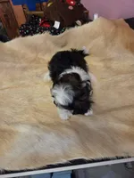 processed/716debcb-1658-4166-83e7-dc9d97a1ca74/listing/8af4355f-bc3b-4341-81a3-f2349de51d5e/8cd8babc-370b-4c2f-afe7-bd02b41bf407