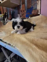 processed/716debcb-1658-4166-83e7-dc9d97a1ca74/listing/8af4355f-bc3b-4341-81a3-f2349de51d5e/90ba36f9-a8d4-4adf-8bb7-5bf6d32e0574