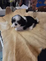 processed/716debcb-1658-4166-83e7-dc9d97a1ca74/listing/8af4355f-bc3b-4341-81a3-f2349de51d5e/f4ef036b-9c7c-4379-b3d0-9bed290a4fb7