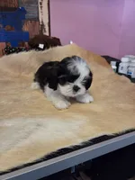 processed/716debcb-1658-4166-83e7-dc9d97a1ca74/listing/8af4355f-bc3b-4341-81a3-f2349de51d5e/f632e293-55e2-419c-9f30-17e0e7c07d48