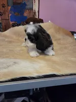 processed/716debcb-1658-4166-83e7-dc9d97a1ca74/listing/8af4355f-bc3b-4341-81a3-f2349de51d5e/f94f9f00-0a3b-4497-a16f-cecbc6151495