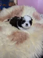 processed/716debcb-1658-4166-83e7-dc9d97a1ca74/listing/9947c4ae-51c9-4edc-9a69-fcf4b25c1042/05079a0f-d857-46da-9f89-2d704e699125