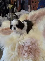 processed/716debcb-1658-4166-83e7-dc9d97a1ca74/listing/9947c4ae-51c9-4edc-9a69-fcf4b25c1042/b09986b1-50c1-41c9-90cf-1c0073c104ef