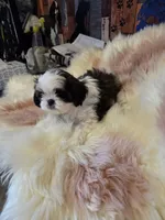 processed/716debcb-1658-4166-83e7-dc9d97a1ca74/listing/9947c4ae-51c9-4edc-9a69-fcf4b25c1042/e95fb4ad-f604-44b5-9872-2d2f9dd1033a