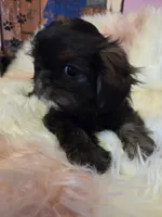 processed/716debcb-1658-4166-83e7-dc9d97a1ca74/listing/ef20ffeb-e637-47e0-8ef1-57c2a031215f/1cdb9d9d-1f8a-4e50-8339-fc1143a55bb0