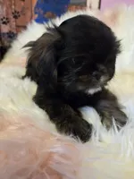 processed/716debcb-1658-4166-83e7-dc9d97a1ca74/listing/ef20ffeb-e637-47e0-8ef1-57c2a031215f/87986592-0a4c-4e72-837d-91bd57f9778e