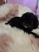 processed/716debcb-1658-4166-83e7-dc9d97a1ca74/listing/ef20ffeb-e637-47e0-8ef1-57c2a031215f/8945e202-b0ac-4af3-b08b-9a520d977b5f