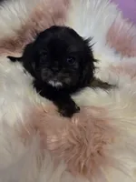 processed/716debcb-1658-4166-83e7-dc9d97a1ca74/listing/ef20ffeb-e637-47e0-8ef1-57c2a031215f/8d3d5871-8fd3-4340-b22b-072a07dcc911