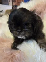 processed/716debcb-1658-4166-83e7-dc9d97a1ca74/listing/ef20ffeb-e637-47e0-8ef1-57c2a031215f/f8896bcf-89b4-4a8b-8839-ae08efb956b4