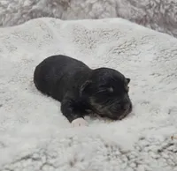 processed/7172bbd5-80db-4e58-986d-815e3a9af345/listing/15a9635e-b46e-4192-83b4-699c00363f35/0306f5d2-5599-4e5c-88ca-77765cc66393