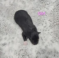 processed/7172bbd5-80db-4e58-986d-815e3a9af345/listing/15a9635e-b46e-4192-83b4-699c00363f35/3dc40011-e6a0-44c6-87c1-1de7e345d18c