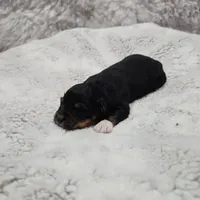 processed/7172bbd5-80db-4e58-986d-815e3a9af345/listing/9463996c-315f-41c0-b1bf-6b1e2aaeb3be/2c99cf13-2ae4-4e28-8de4-f6d874a36d7c