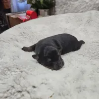 processed/7172bbd5-80db-4e58-986d-815e3a9af345/listing/c8d3c741-f80a-4d47-9c19-74d144d3ad71/f342f15e-d893-47b8-9bec-e026847af797