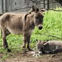 processed/7180fe3c-ad90-465c-b550-adc47a666135/facility/15197dc0-bfb6-4bc0-9b00-96299ef5e694