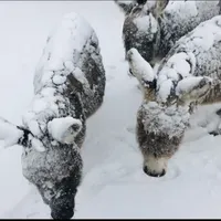 processed/7180fe3c-ad90-465c-b550-adc47a666135/facility/5c6d1c4f-0761-42b0-9510-247a2773a4cc