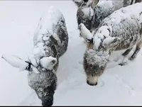 processed/7180fe3c-ad90-465c-b550-adc47a666135/facility/5c6d1c4f-0761-42b0-9510-247a2773a4cc